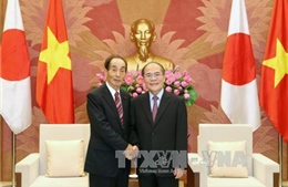 Chủ tịch Quốc hội tiếp Phó Chủ tịch Thượng viện Nhật Bản
